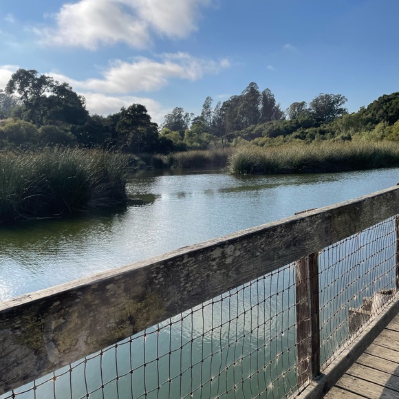 Meet your Posher, Josielynn - Picture 5 of 10